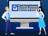 На выборах губернатора Новосибирской области готовы применить онлайн-голосование
