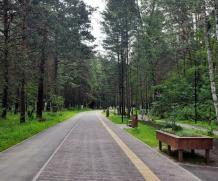 В Новосибирске создадут парк «Заельцовский бор»
