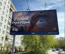 Скандал в Новосибирске из-за баннеров к Дню Победы с изображением орангутана