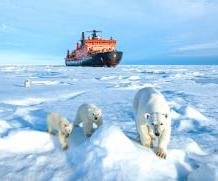 Развитие Арктики — стратегическая задача России