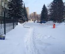 Станет ли обильный снег серьезным вызовом для новосибирской политики?
