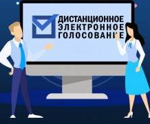 На выборах губернатора Новосибирской области готовы применить онлайн-голосование