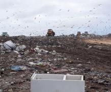 Тарифы на мусор предлагается увеличить на 31,8%
